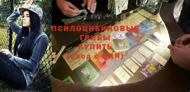 Псилоцибиновые грибы GOLDEN TEACHER  OMG зеркало  Дмитров 